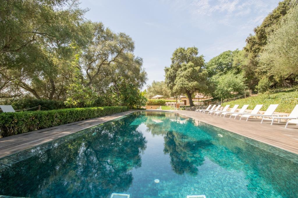 - 19466 Mallorca Holiday home *